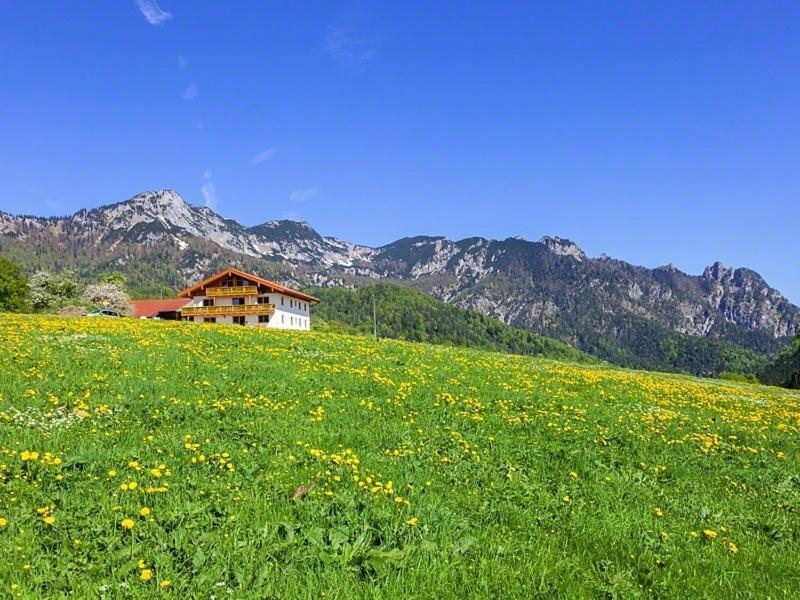 Ferienwohnung Roislerlehen ビショフスヴィーゼン エクステリア 写真